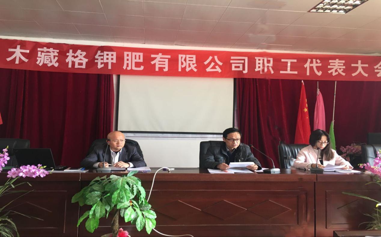 20210304154850b554a7